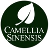 Camellia Sinensis