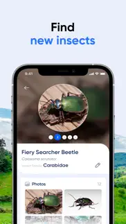 bug id: insect identifier ai iphone screenshot 4