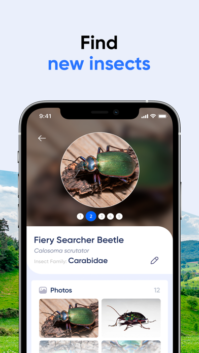 Bug ID: Insect Identifier AI Screenshot