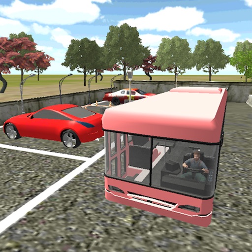 Parking Driver Simulation iOS App