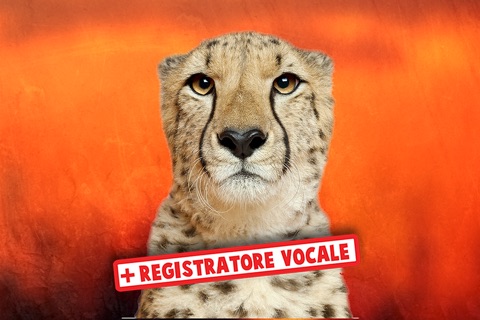 Wildlife Safari Photo Memo Puzzle Free screenshot 3