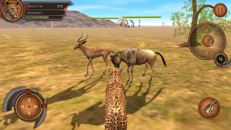 Leopard Simulator