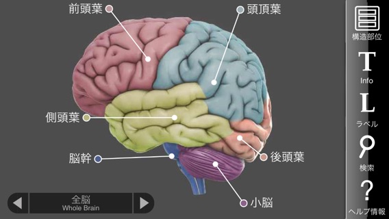 3D Brainのおすすめ画像1