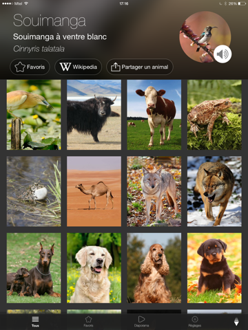 Screenshot #4 pour Animaux du Monde : Sons et Photos
