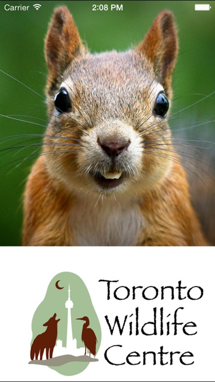Wildlife Help - Toronto Wildlife Centre Rescue Injured, Sick & Orphaned Wild Animals