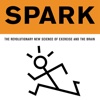 Spark: Practical Guide Cards with Key Insights and Daily Inspiration