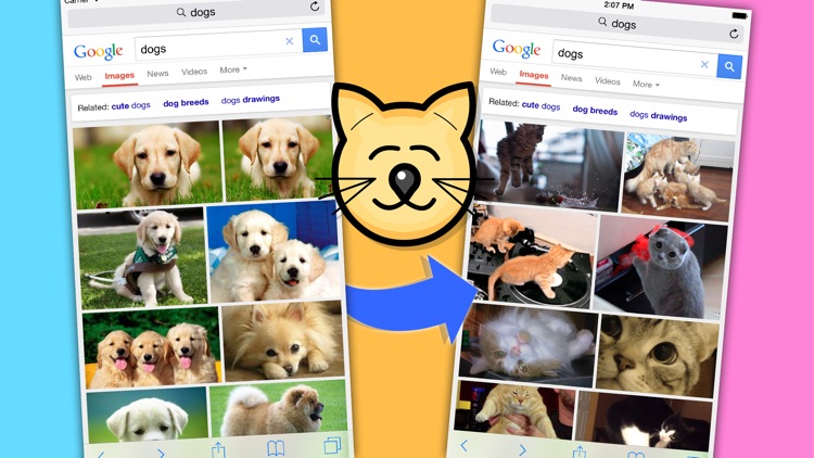 Catify - The Extension for iOS 8