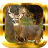 Sniper Deer Hunting Gold