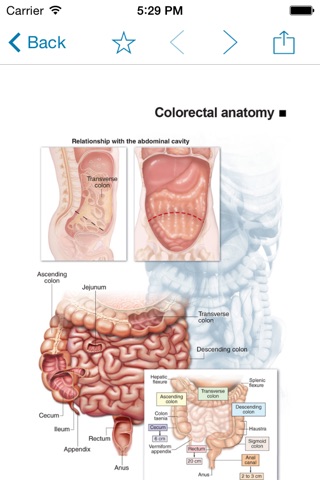 Miniatlas Colon Cancer screenshot 2