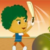 Awesome Beach Cricket Fever Pro - new pitch cricket sports game