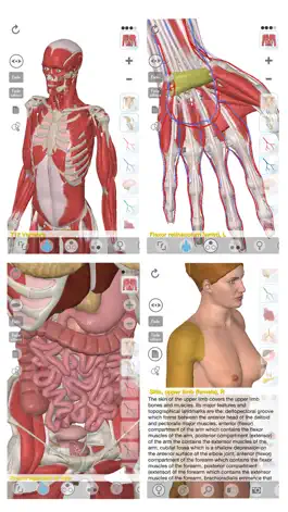 Game screenshot 3D Organon Anatomy mod apk
