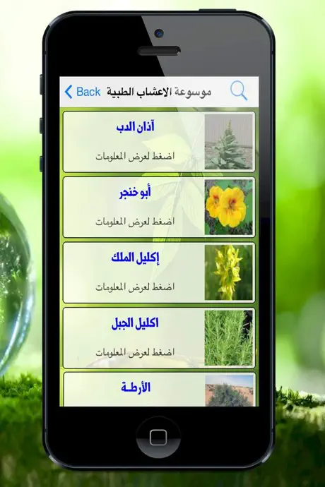 موسوعة الاعشاب الطبية herbs dictionary