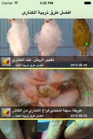 افضل طرق تربية الكناري screenshot 2