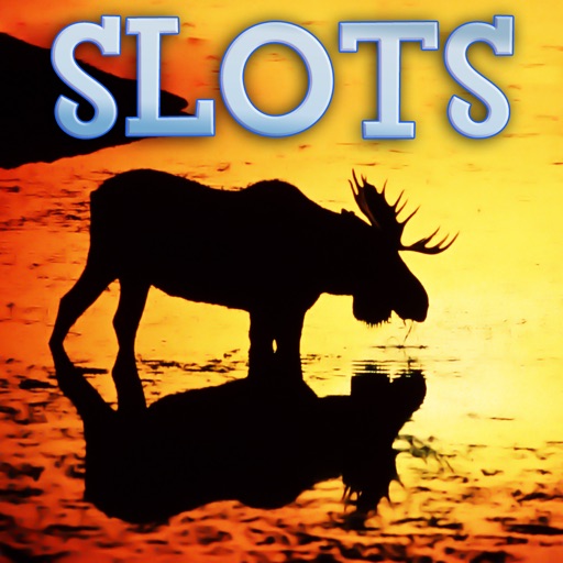 Alaska Animals Slots - FREE Gambling World Series Tournament