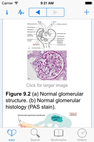 Essentials of Clinical Immunology, 6th Edition screenshot 3