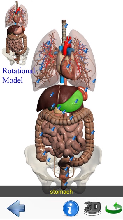 Visual Anatomy Lite