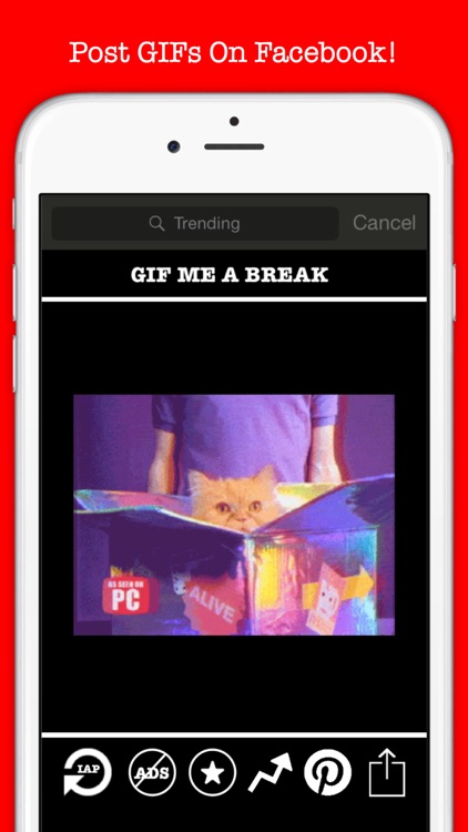 Gif Me A Break: #1 Best Gif Messenger