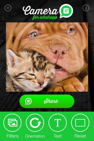 Camera for WhatsApp - Share amazing photos with your friends screenshot 3