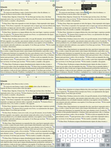 A Bíblia Sagrada (livros e áudio)(Portuguese Bible)HD screenshot 3
