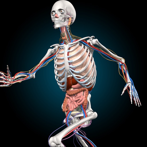Visible Anatomy