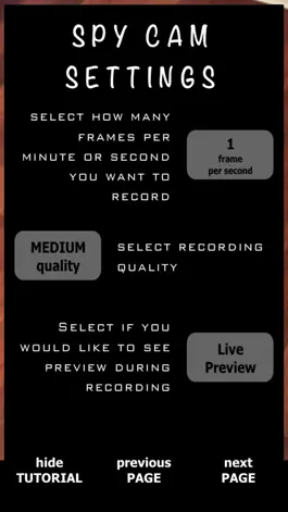 Game screenshot Spy Cam MG hack