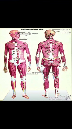 CUPPING(圖2)-速報App