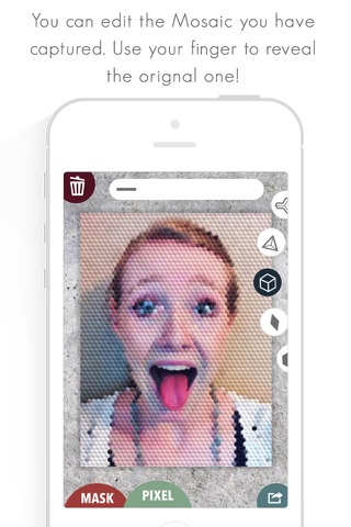 Fat Lens Pro - Mosaic Photos screenshot 2