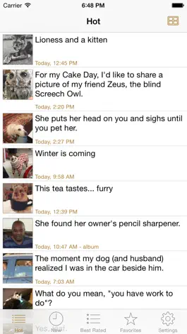 Game screenshot Cute Animals - Aww! mod apk