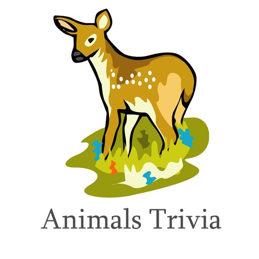 Animal Trivia and Quiz Icon