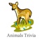 Animal Trivia and Quiz