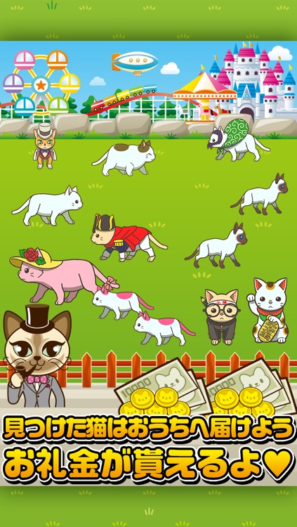 ねこさがし~迷子の子猫を探してます!~