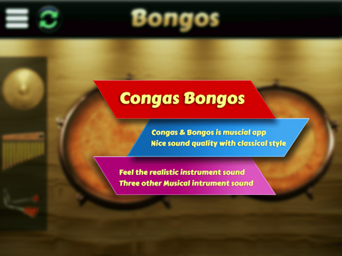 Screenshot #4 pour Garage Virtual Congas & Bongos