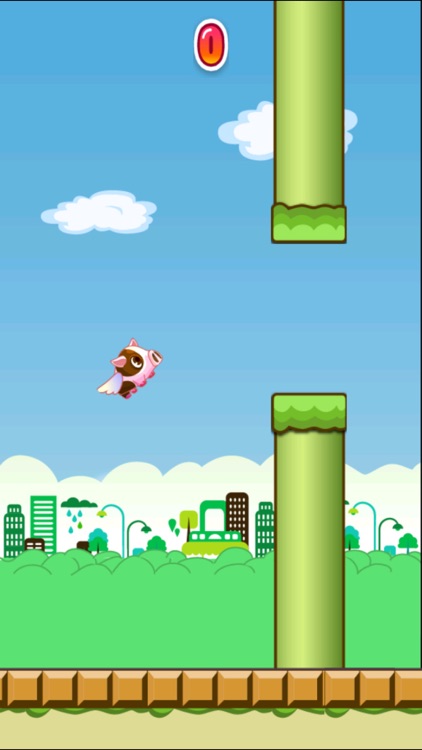 Hoppy Pig - The Adventure Road of 2 Tiny Bird