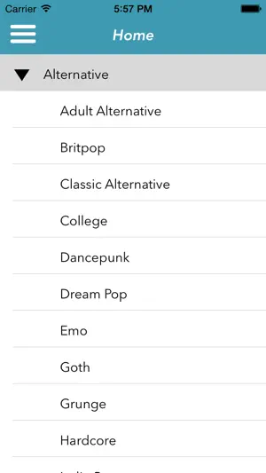 Radio Cast screenshot 4
