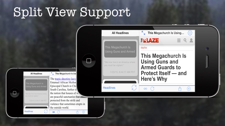 Blaze Feed screenshot-3