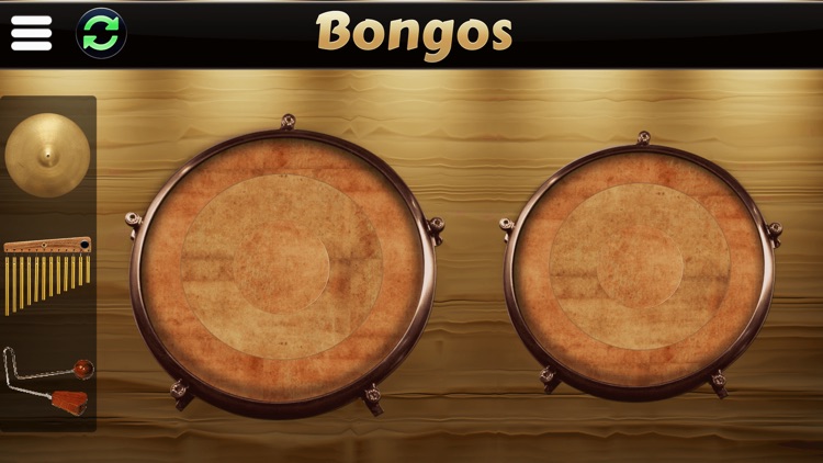 Garage Virtual Congas & Bongos