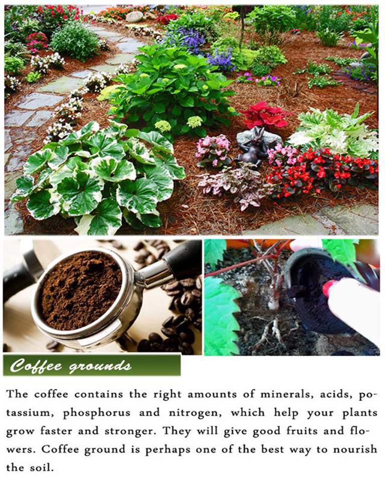 DIY Gardening Tips