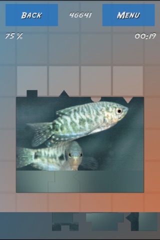 Puzzles Fishes screenshot 3