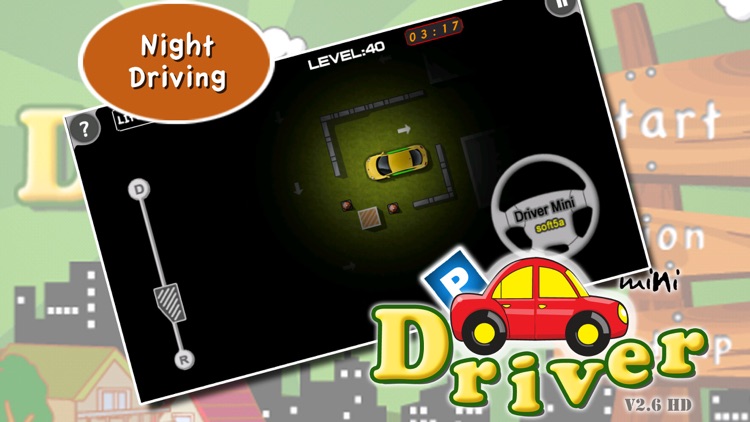 Driver Mini - Mania Parking School