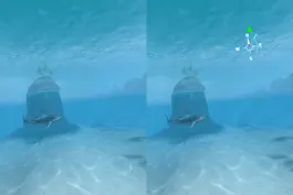 Game screenshot Sharks VR mod apk