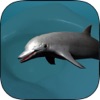 Real Dolphin coral reef simulator icon