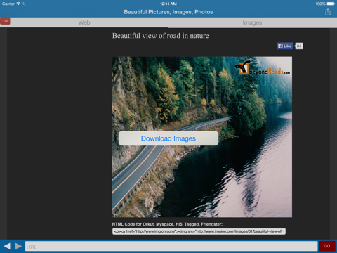 Screenshot #4 pour Awesome Web Image Collector Lite