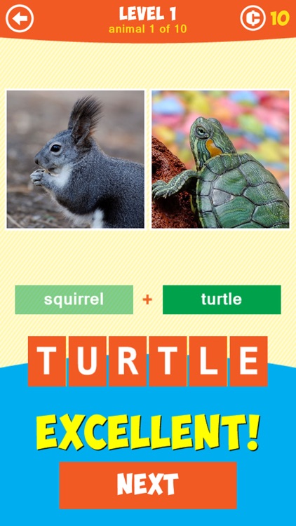 1 Pic: What's the Beast?