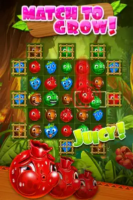 Game screenshot Jungle Jam - Juicy Fruit Match-3 Game mod apk
