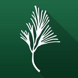 Pacific Residences Interactive Maps