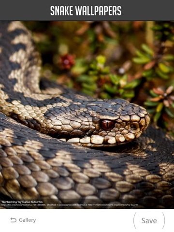 Screenshot #5 pour Snake Wallpaper
