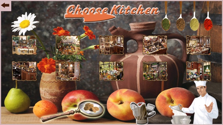 Kitchen Mania : The Hidden Object