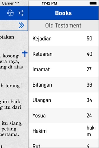 Alkitab (Indonesian bible) screenshot 4