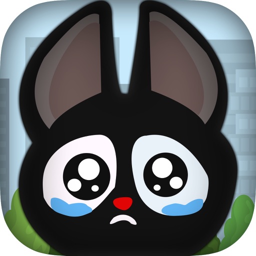 Pet Kitty Rescue Story FREE - Animal  Adventure Craze iOS App