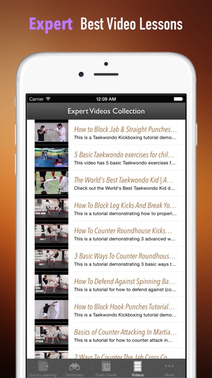 Tae kwon do 101: Quick Learning Reference with Video Lessons and Glossary screenshot-4